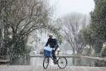 Cold Winters